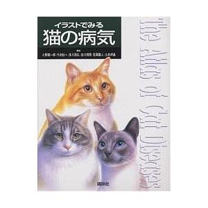 イラストでみる猫の病気/小野憲一郎｜boox