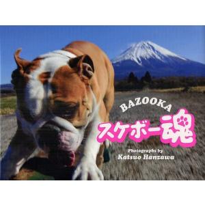 BAZOOKAスケボー魂/半沢克夫｜boox