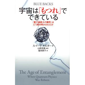 宇宙は「もつれ」でできている 「量子論最大の難問」はどう解き明かされたか/ルイーザ・ギルダー/山田克...