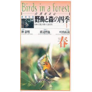 野鳥図鑑 春の野鳥 フィールド図鑑 の商品一覧 アウトドア 趣味 本 雑誌 コミック 通販 Yahoo ショッピング