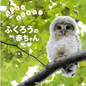 もふもふもふもふ〜ふくろうの赤ちゃん/大橋弘一/講談社ビーシー書籍出版部｜boox