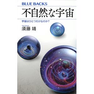 不自然な宇宙 宇宙はひとつだけなのか?/須藤靖