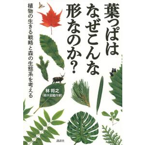 葉っぱはなぜこんな形なのか? 植物の生きる戦略と森の生態系を考える/林将之