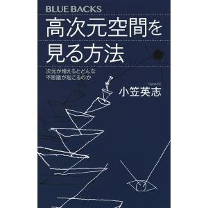 高次元空間を見る方法 次元が増えるとどんな不思議が起こるのか/小笠英志｜boox