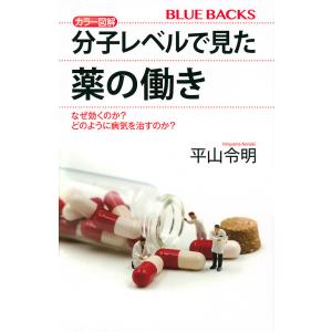 カラー図解分子レベルで見た薬の働き　なぜ効くのか？どのように病気を治すのか？/平山令明