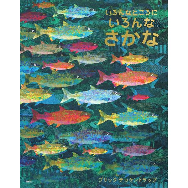 いろんなところにいろんなさかな/ブリッタ・テッケントラップ/小野寺佑紀