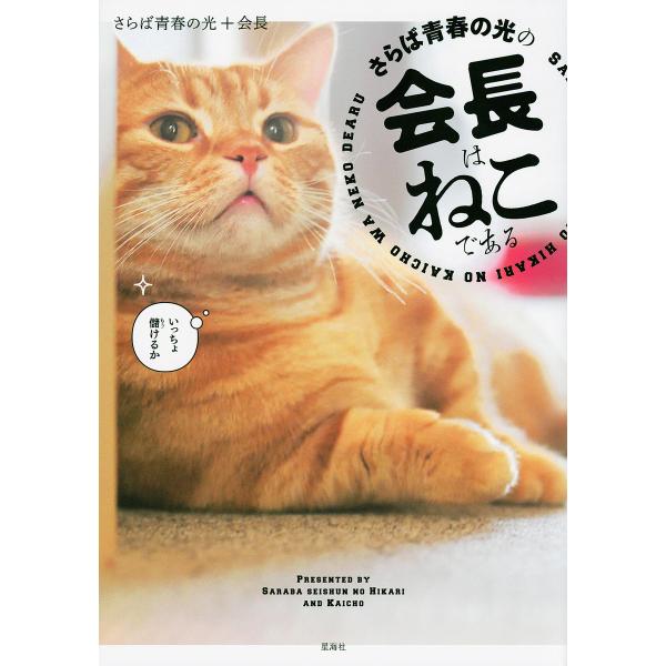 さらば青春の光の会長はねこである/さらば青春の光/会長