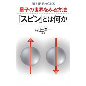 とは何か 量子の世界をみる方法/村上洋一