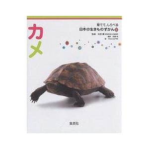 カメ/佐藤裕/CheungME