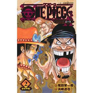 ONE PIECE novel A 2