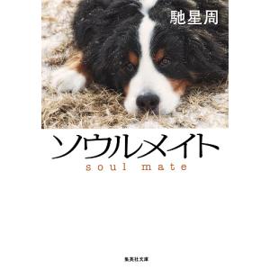 ソウルメイト/馳星周