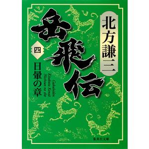 岳飛伝　４/北方謙三