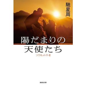 陽だまりの天使たち ソウルメイト 2/馳星周