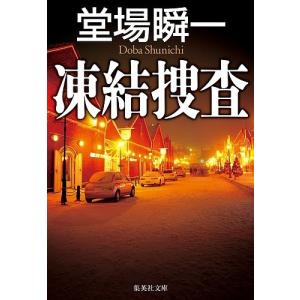 凍結捜査/堂場瞬一