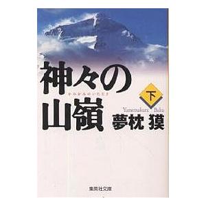 神々の山嶺（いただき）　下/夢枕獏