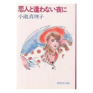 恋人と逢わない夜に/小池真理子