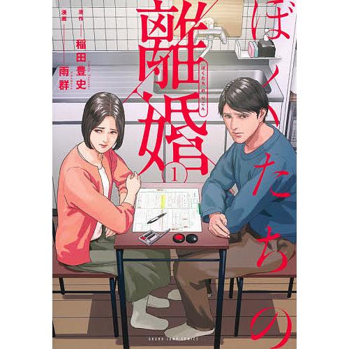 ぼくたちの離婚 1/稲田豊史/雨群