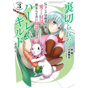 裏切られたSランク冒険者の俺は、愛する奴隷の彼女らと共に奴隷だけのハーレムギルドを作る　３/柊咲/川田暁生