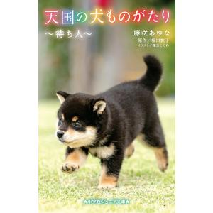 天国の犬ものがたり 〔14〕/堀田敦子/藤咲あゆな/環方このみ