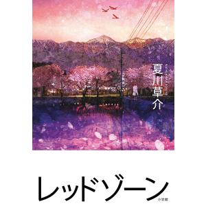 レッドゾーン/夏川草介