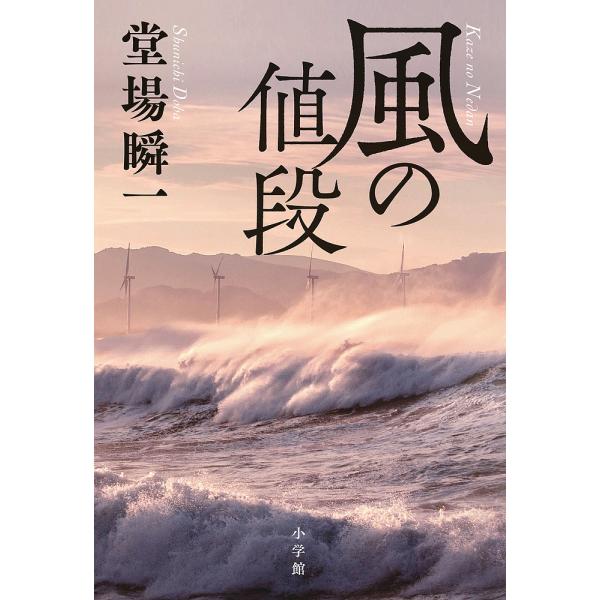 風の値段/堂場瞬一