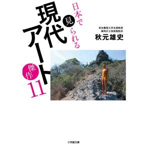 日本で見られる現代アート傑作１１/秋元雄史