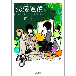 恋愛写真　もうひとつの物語/市川拓司