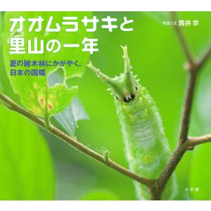 オオムラサキと里山の一年 夏の雑木林にかがやく、日本の国蝶/筒井学/子供/絵本｜boox