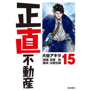 正直不動産　１５/大谷アキラ/夏原武/水野光博