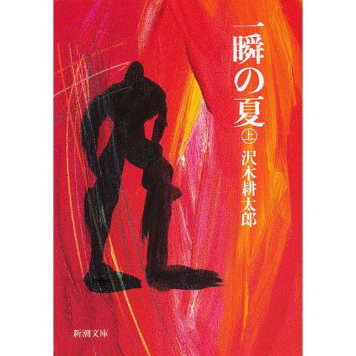 一瞬の夏 上巻/沢木耕太郎