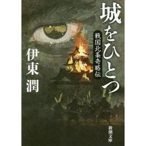 城をひとつ 戦国北条奇略伝/伊東潤