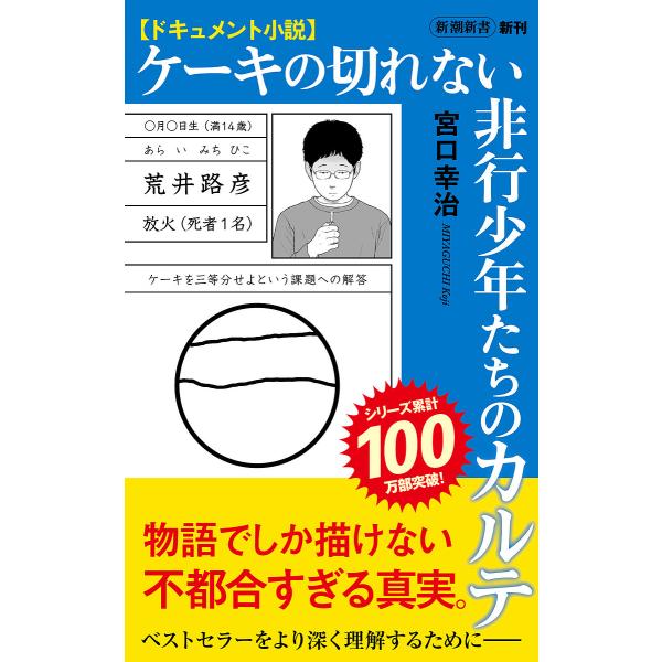 ケーキの切れない非行少年たちのカルテ ドキュメント小説/宮口幸治