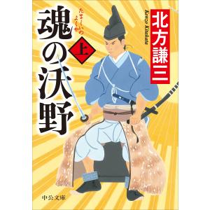 魂の沃野 上/北方謙三