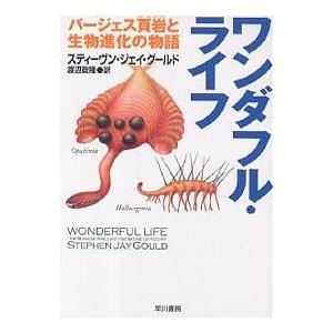 ワンダフル・ライフ バージェス頁岩と生物進化の物語/スティーヴン・ジェイ・グールド/渡辺政隆