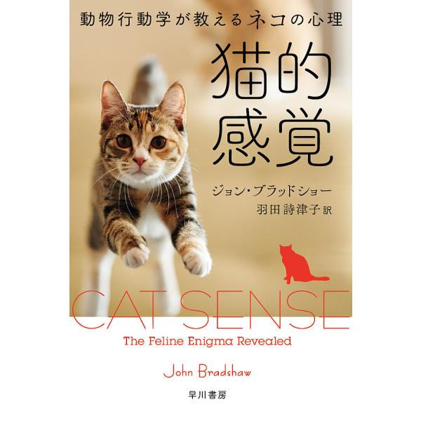 猫的感覚 動物行動学が教えるネコの心理/ジョン・ブラッドショー/羽田詩津子