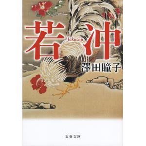 若冲/澤田瞳子