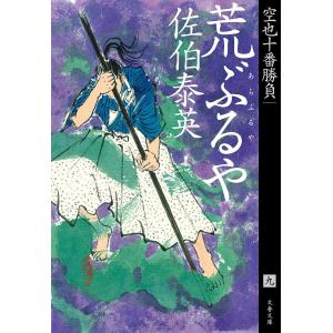 荒ぶるや 空也十番勝負/佐伯泰英