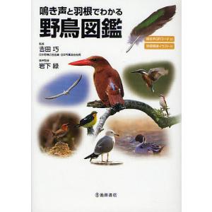 鳴き声と羽根でわかる野鳥図鑑 鳴き声QRコード付 羽根模様イラスト付｜boox