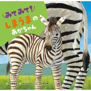 みてみて しまうまのあかちゃん /大塚健太/サトウマサノリ/今泉忠明