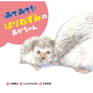 みてみて はりねずみのあかちゃん /大塚健太/しもかわらゆみ/今泉忠明