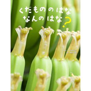 くだもののはななんのはな?/宮崎祥子/・文網野文絵/子供/絵本｜bookfan