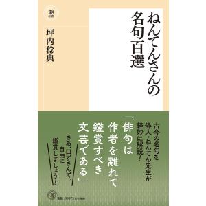 ねんてんさんの名句百選/坪内稔典