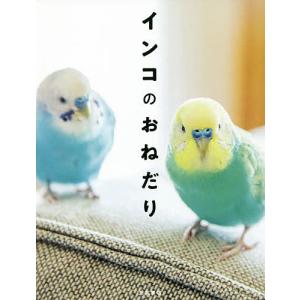 インコのおねだり/磯崎哲也