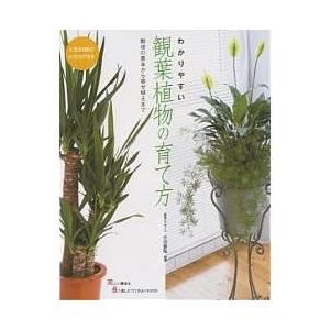 わかりやすい観葉植物の育て方 人気80種のカタログ付き 栽培の基本から寄せ植えまで