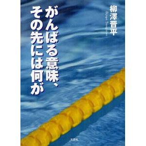 がんばる意味、その先には何が/柳澤晋平｜boox