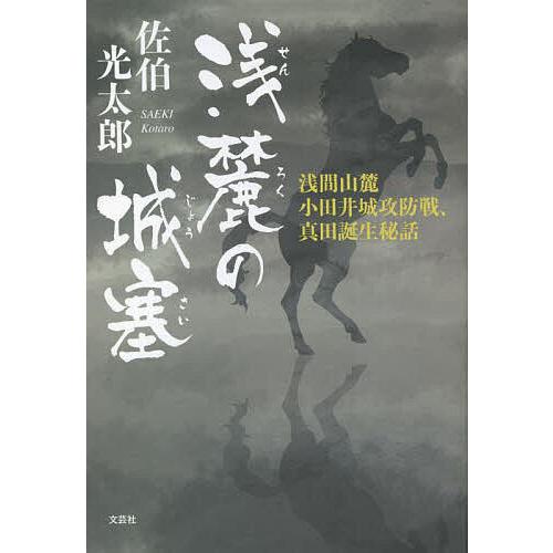 浅麓の城塞 浅間山麓小田井城攻防戦、真田誕生秘話/佐伯光太郎