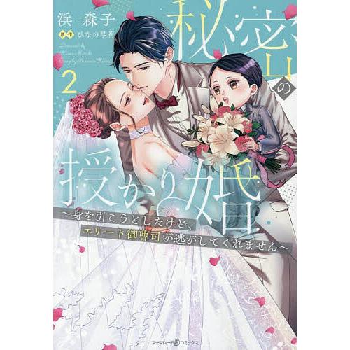 秘密の授かり婚 身を引こうとしたけど、エリート御曹司が逃がしてくれません 2/浜森子/ひなの琴莉