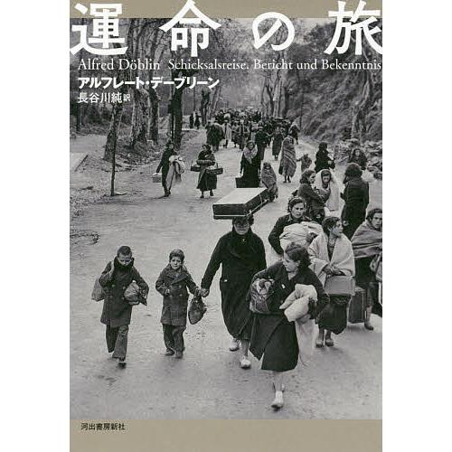 運命の旅/アルフレート・デーブリーン/長谷川純