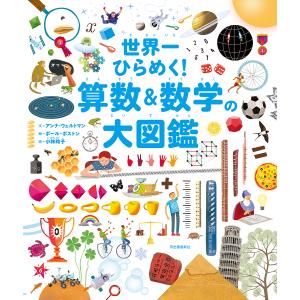 世界一ひらめく!算数&数学の大図鑑/アンナ・ウェルトマン/ポール・ボストン/小林玲子