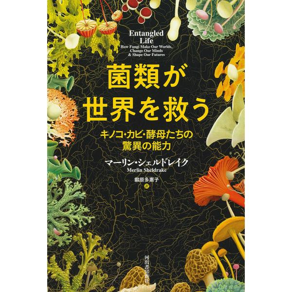 菌類が世界を救う キノコ・カビ・酵母たちの驚異の能力/マーリン・シェルドレイク/鍛原多惠子